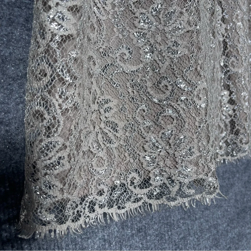 JCrew Womens 8 Tan Silver Metallic Lace Overlay Mini Skirt Party Festive Wedding